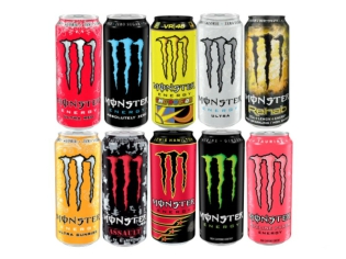 Monster 500ml Case